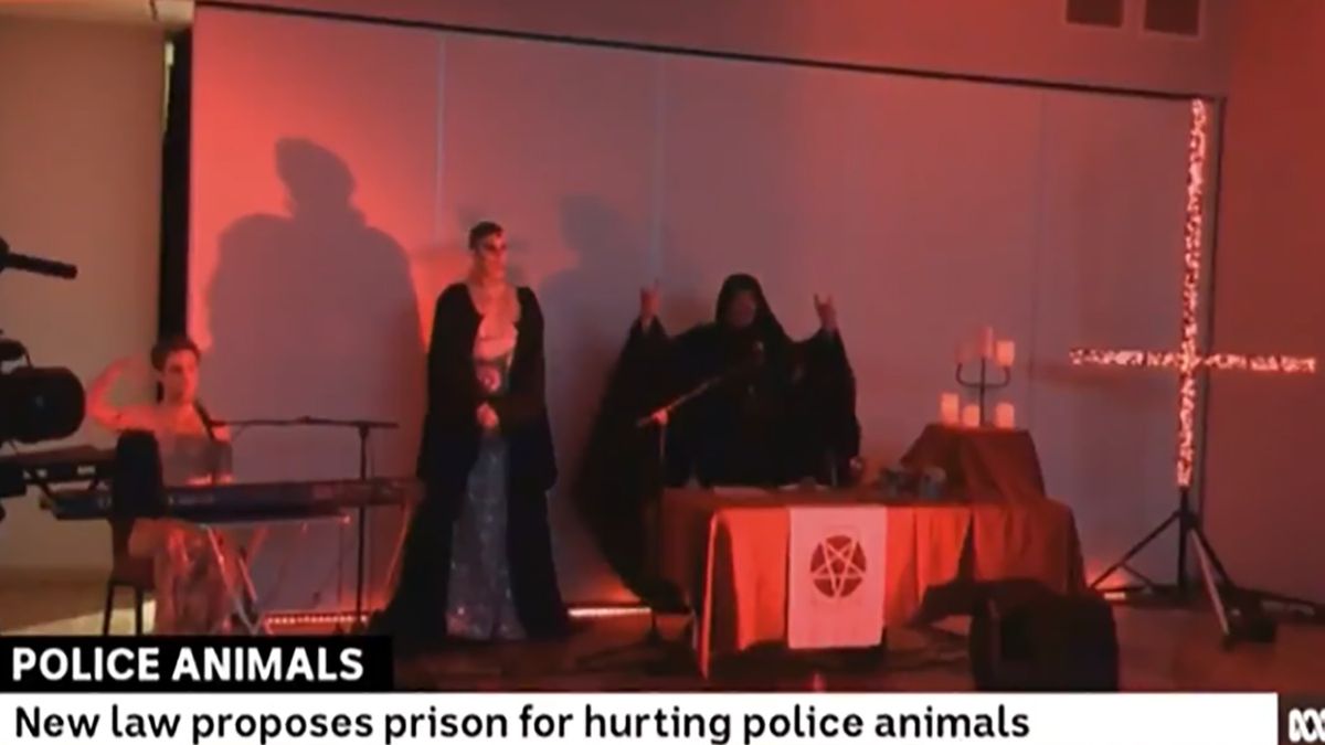 Niepokojące nagranie pojawiło się podczas materiału o wykroczeniach wobec policyjnych zwierząt