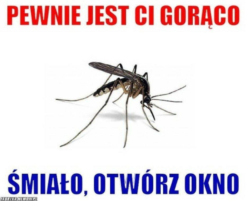 Memy - upał
