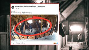 Bulwersujące nagrania ze stajni pod Koninem. Sędzia jeździecka zawieszona