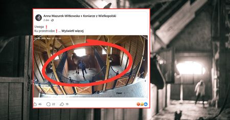 Bulwersujące nagrania ze stajni pod Koninem. Sędzia jeździecka zawieszona