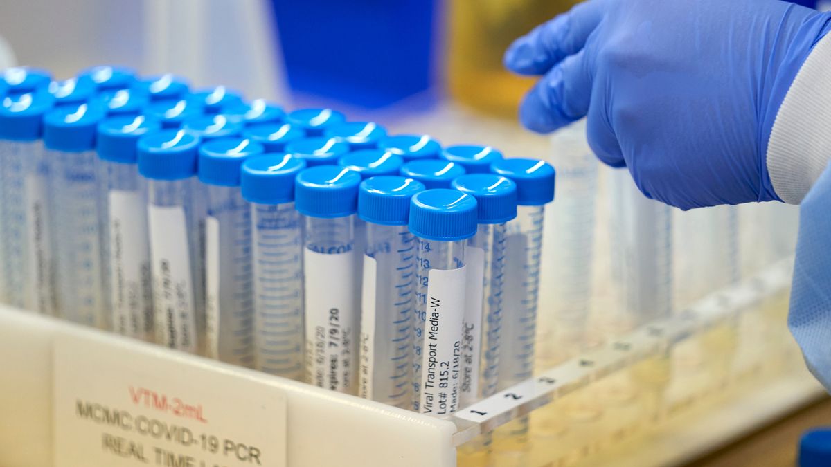 Najwięcej nowych dziennych przypadków zakażeń koronawiruem odnotowano w województwie kujawsko-pomorskim