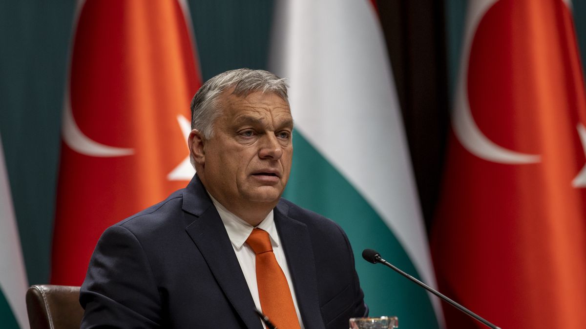 ANKARA, TURKEY - NOVEMBER 11: Prime Minister of Hungary, Victor Orban and Turkish President Recep Tayyip Erdogan (not seen) hold a joint press conference after their meeting at the Presidential Complex in Ankara, Turkey on November 11, 2021. (Photo by Ali Balikci/Anadolu Agency via Getty Images)