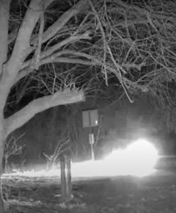 Incydent na granicy z Rosją. Uwieczniła go kamera