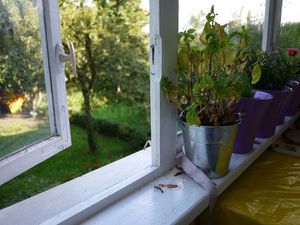 Panasonic Lumix GF3 – zgrabny, inteligentny maluch [test] 30