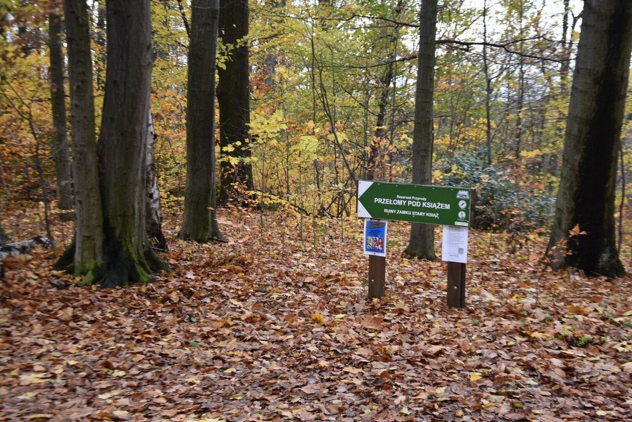 Jesień w okolicach Zamku Książ. Warto tam wybrać się i o tej porze roku