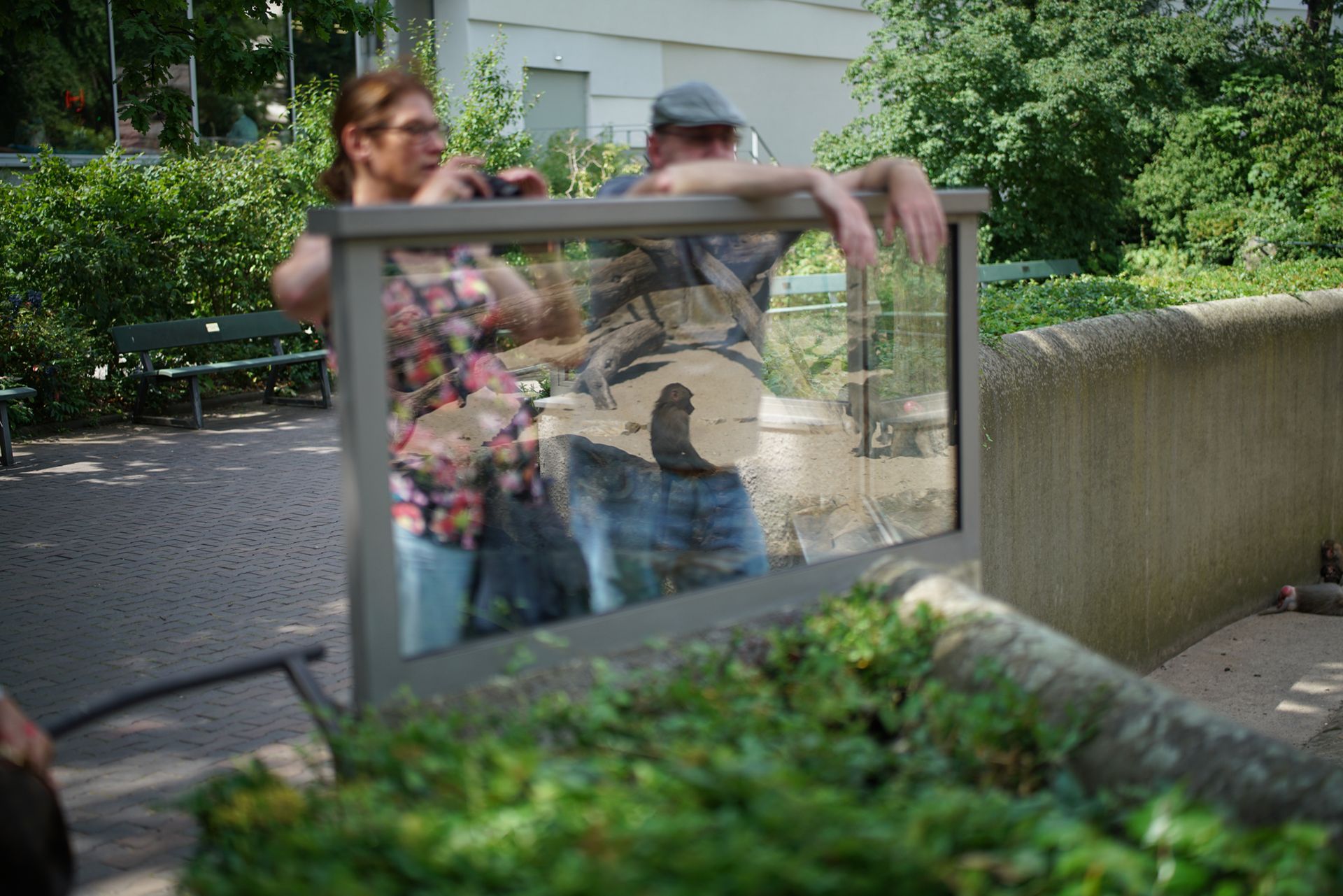Zeiss Planar T* FE 50 mm f/1.4 ZA - nasze przykładowe zdjęcia 20
