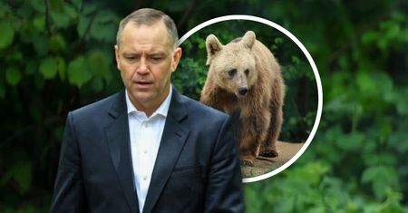Karol Nawrocki zaadoptował niedźwiedzia. "Miś Batyr"