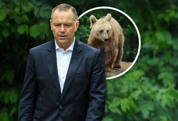 Karol Nawrocki zaadoptował niedźwiedzia. "Miś Batyr"