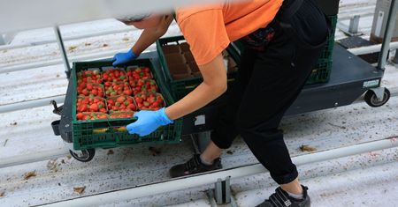 16 tys. zł bez znajomości języka. Chcą Polaków do pracy