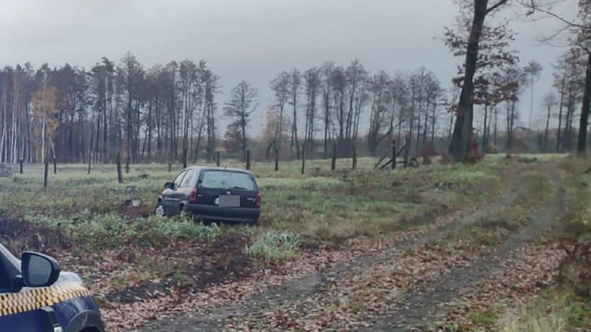 Zdjęcie ilustracyjne