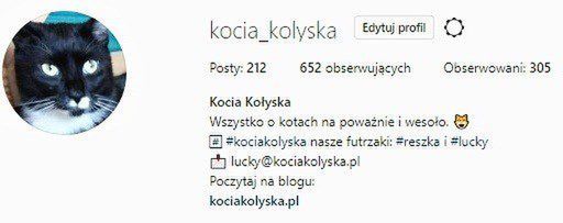 Twój kot na Instagramie. Jak stworzyć koci profil?