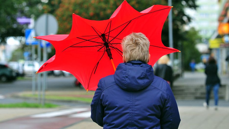 Żółte alerty IMGW. Ostrzeżenie przed silnym wiatrem dla sześciu województw
