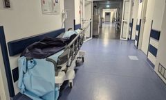 Tropikalna choroba w Krakowie. Denga zdiagnozowana u dwójki nastolatków