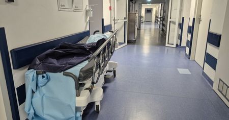 Tropikalna choroba w Krakowie. Denga zdiagnozowana u dwójki nastolatków