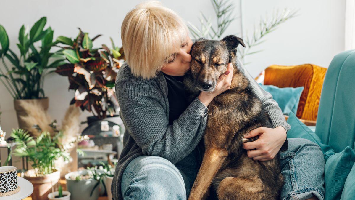 Lęk u psa często wygląda jak problem z zachowaniem