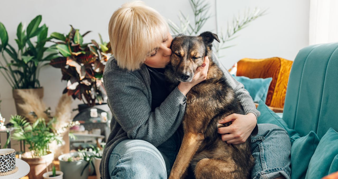 Twój pies nie jest "dziwny". Badanie pokazuje, jak wiele psów żyje w lęku