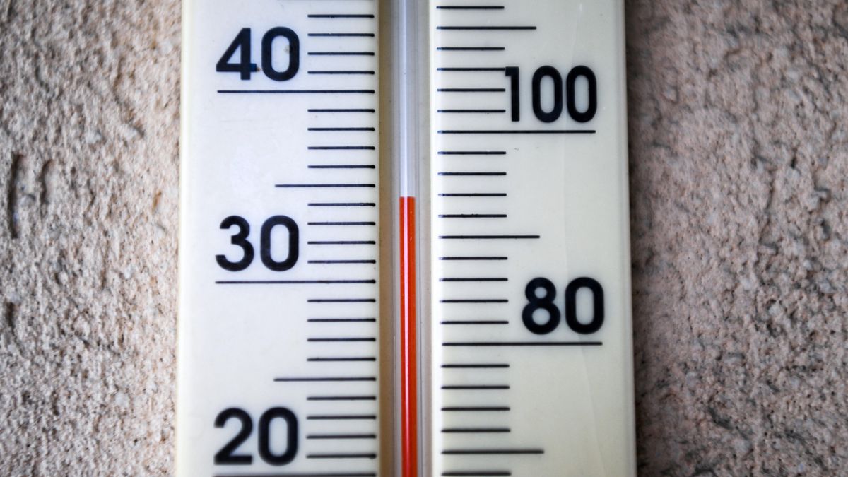 Zdjęcie ilustracyjne