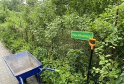 Mazowsze. Najlepsze ogrody nagrodzone. Dostaną pół miliona dotacji