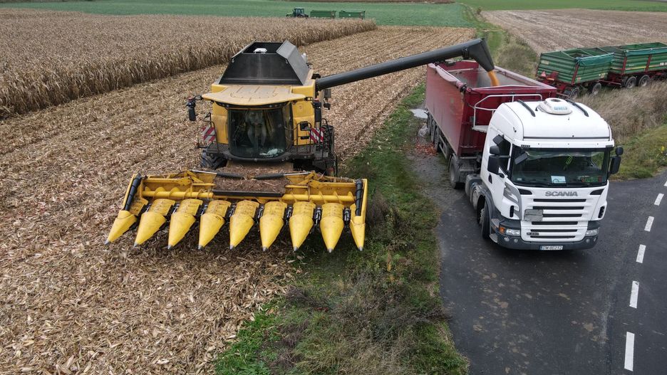Ceny mokrej kukurydzy spadły w wielu regionach do 380–400 zł/t. To stawki, które nie pokrywają nawet części kosztów produkcji, wyliczonych przez WIR na ponad 9,5 tys. zł/ha. Rolnicy mówią jasno: ten sezon trzeba przetrwać, bo pola manewru nie ma. Zobacz pełną analizę i aktualne ceny ze skupów.