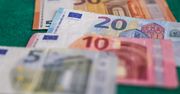 Problem z walutą euro. Ekspert wskazuje na przykład Niemiec