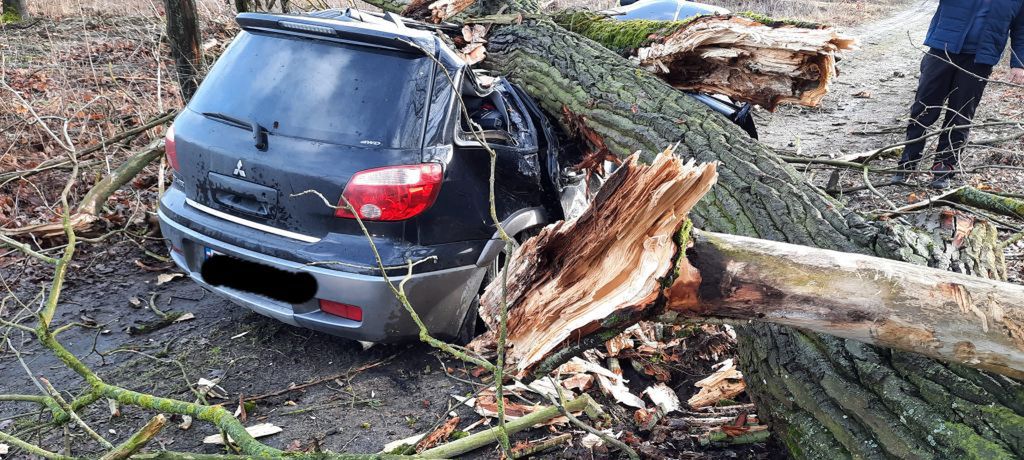 Strażacy podsumowali wietrzny weekend