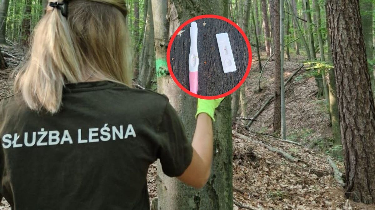 Leśnicy pokazali, co ktoś zostawił przy koszu