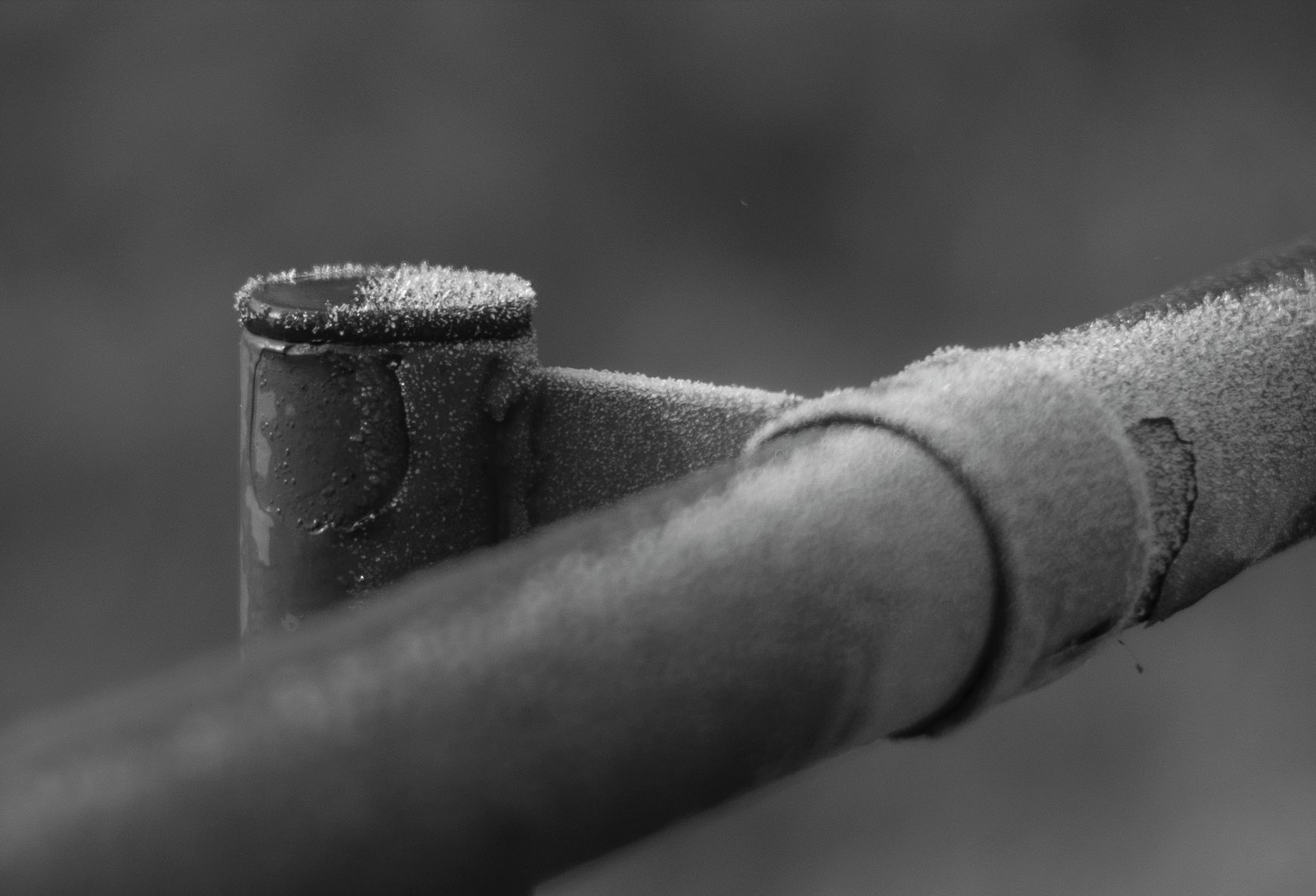 Voigtländer VM 50 mm f/1.1 Nokton - bardzo jasna pięćdziesiątka, która kreuje własną rzeczywistość [test] 23
