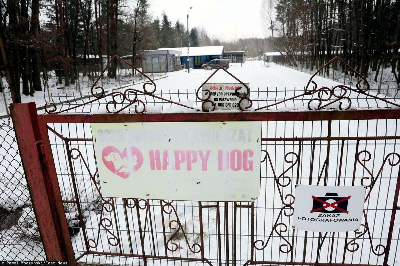 Dramat psów w schronisku w Sobolewie. Kilka lat temu apelowano o cofnięcie pozwolenia
