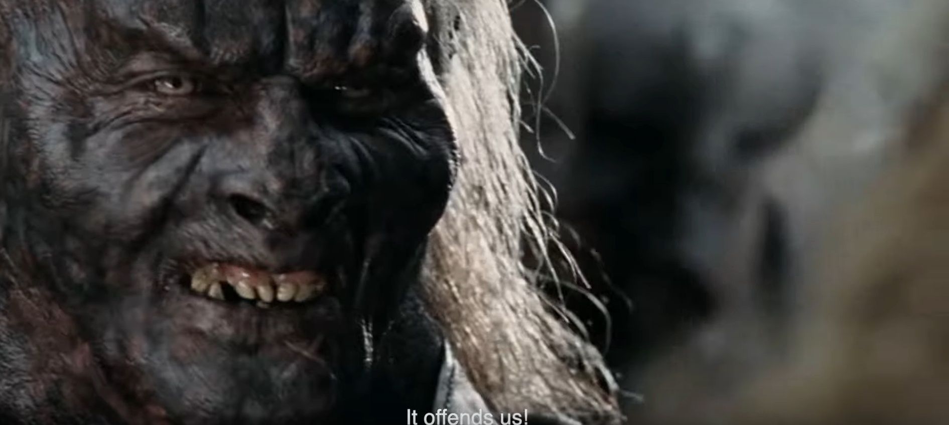 Reklama organizacji UAnimals