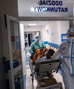 Waldemar Kraska ujawnił nowe dane. "Piąta fala puka do granic"