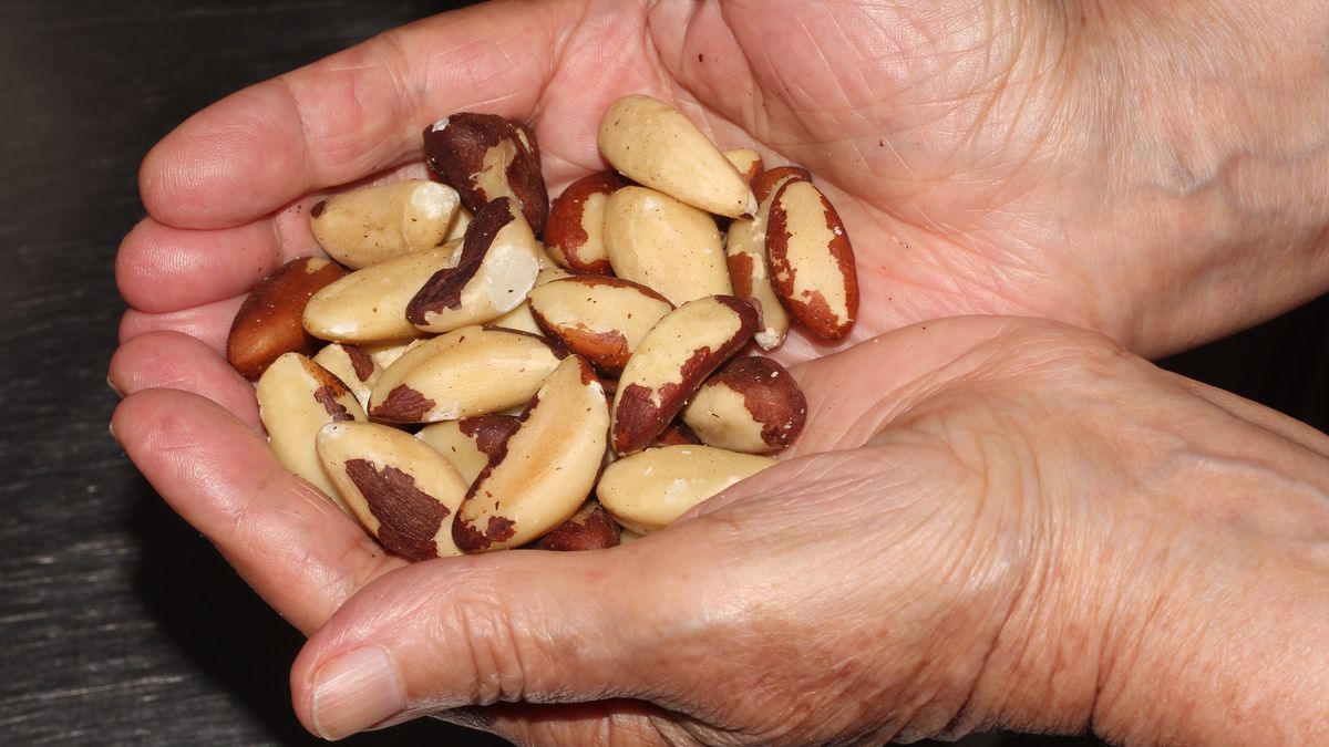 Orzechy mogą chronić przed rozwojem raka i chorób serca