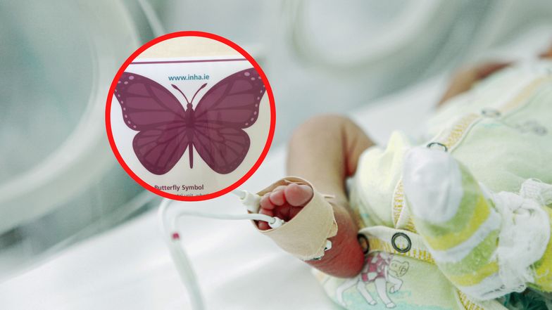 Fioletowy motyl na szpitalnym łóżeczku dziecka. Ma specjalne znaczenie