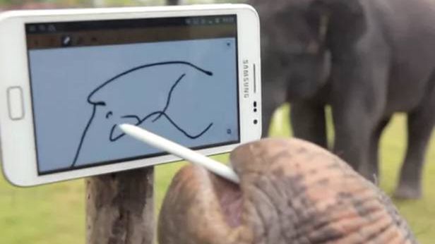 Zabawny wiral Samsunga. Słoń też może być gadżeciarzem! 1
