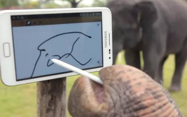 Słonie jako grupa docelowa smartfonów Samsunga? (Fot. YouTube.com)