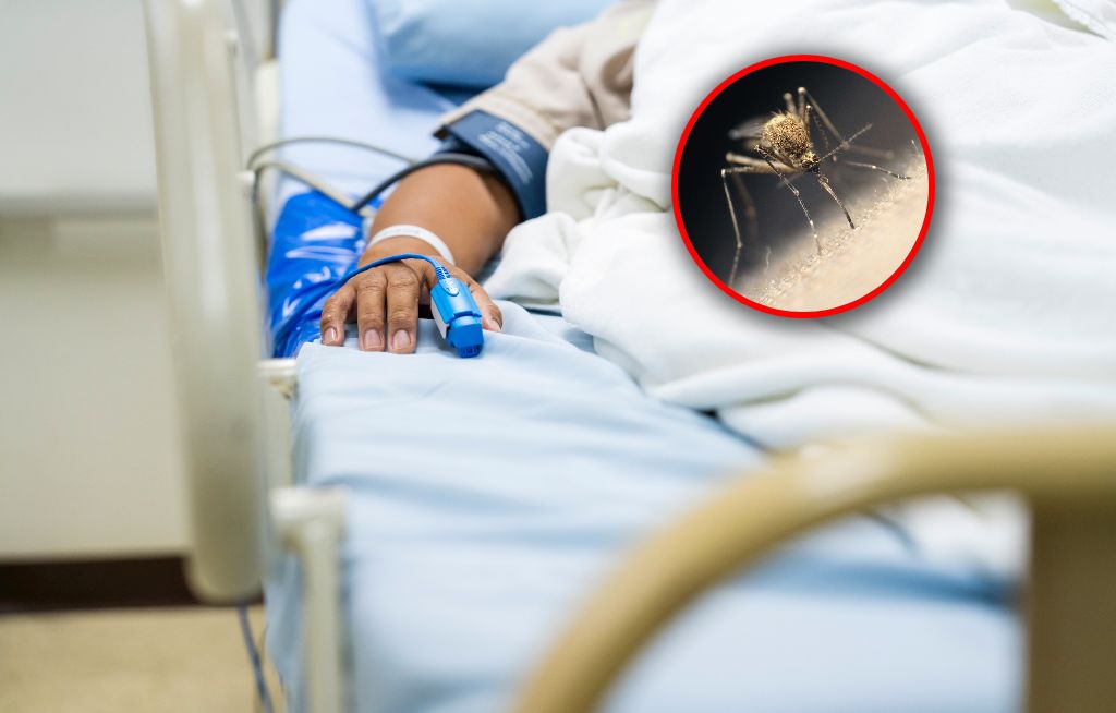 Chikungunya coraz bardziej nam zagraża? "Ekspansja choroby na północ to tylko kwestia czasu"