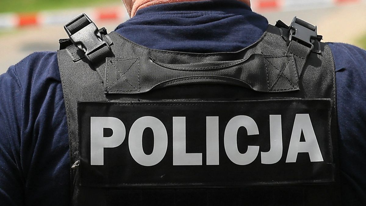 Policjant (zdjęcie podglądowe)