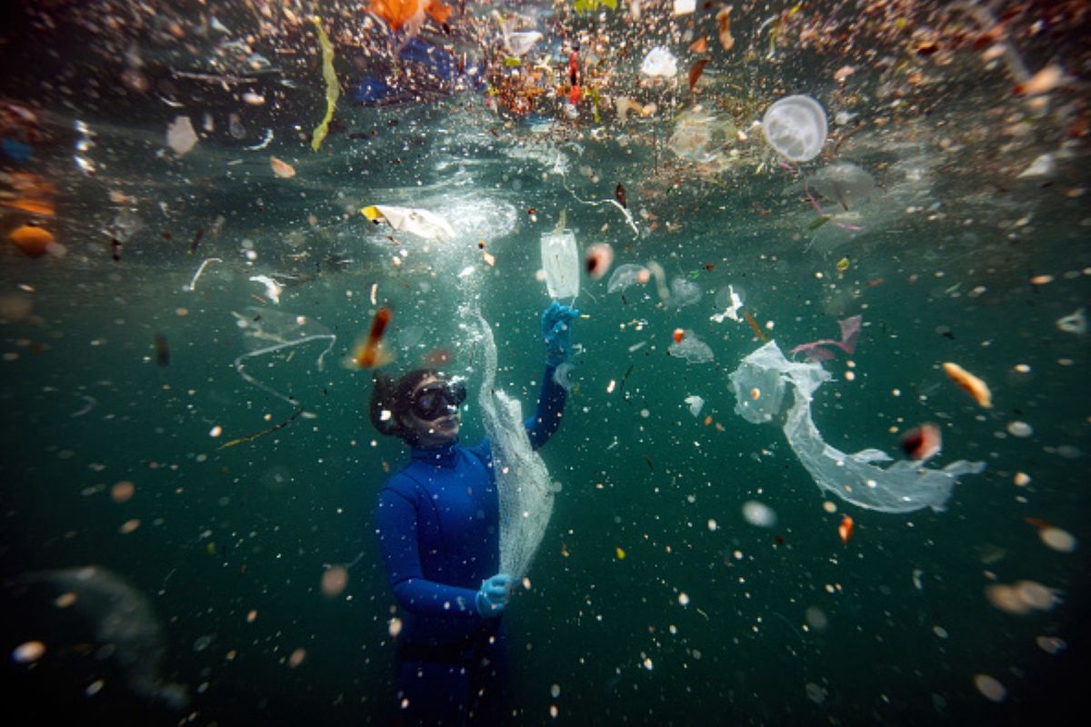 Oceany są ich pełne. Plastikowe słomki są najmniejszym problemem