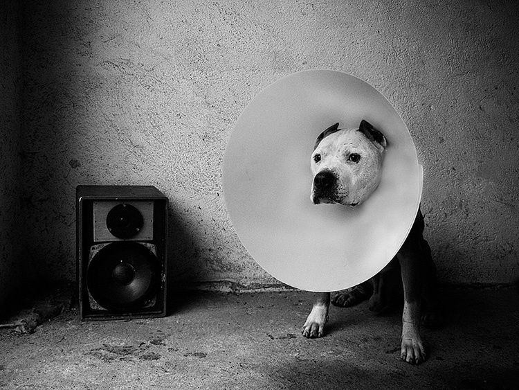 Nagrodzone prace w konkursie LensCulture Exposure Awards 2015. Dominika Gęsicka wśród finalistów 27