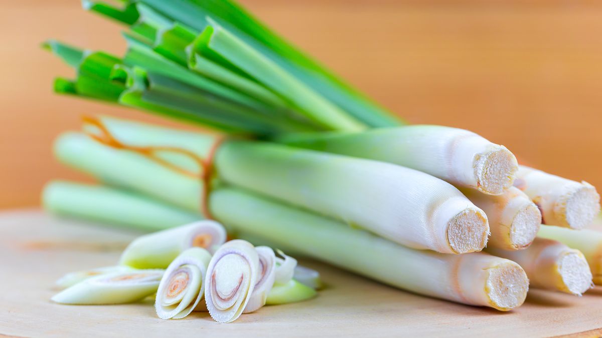 Trawa cytrynowa coraz częściej pojawia się w sklepach