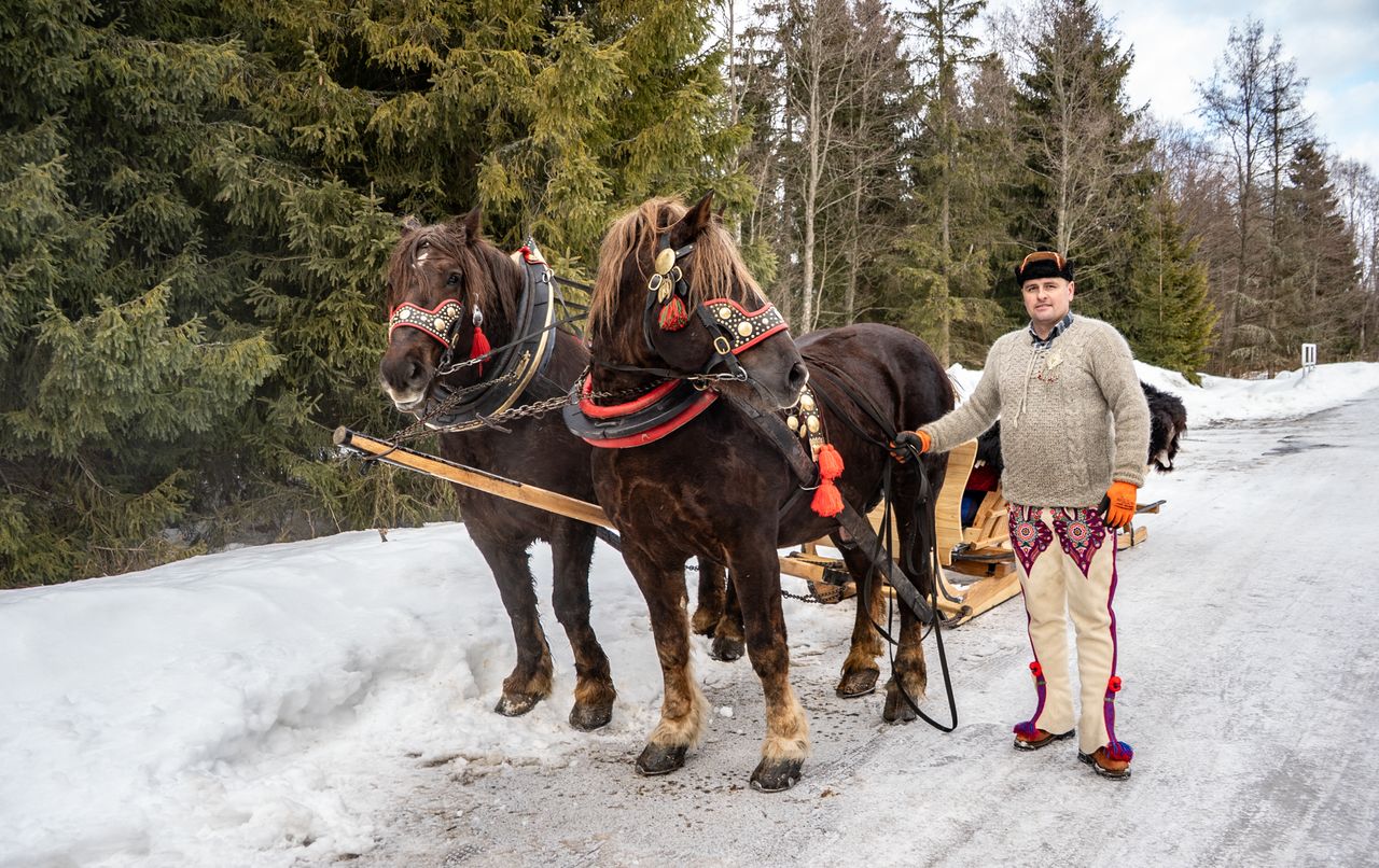 Nowa trasa konna - Zvernica, Słowacja.