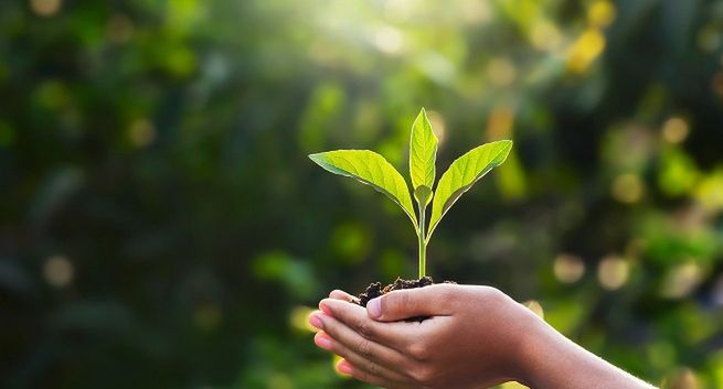 Kampania „Nasz Klimat” ponownie zachęca Polaków do zmiany nawyków