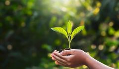 Kampania „Nasz Klimat” ponownie zachęca Polaków do zmiany nawyków