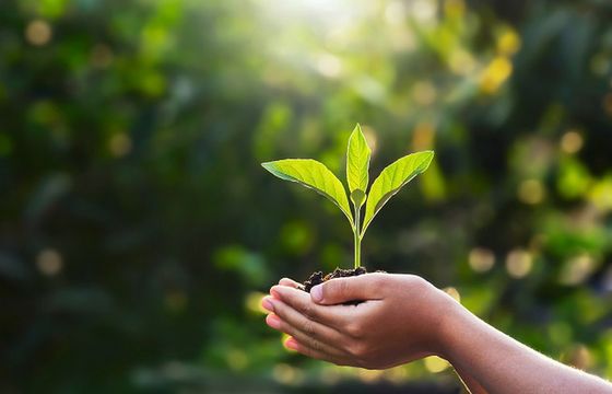 Kampania „Nasz Klimat” ponownie zachęca Polaków do zmiany nawyków