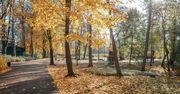 Do 16°C na południu. Okno pogodowe idealne na szybkie prace w polu