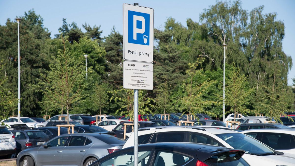 Nawet 9 zł za godzinę. Tak miasta zarabiają na turystach