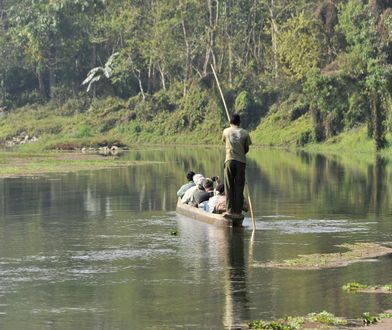 Poszedł na safari w Nepalu. "Patrz mu w oczy i stawiaj kroki do tyłu"