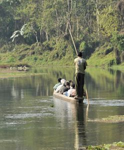 Poszedł na safari w Nepalu. "Patrz mu w oczy i stawiaj kroki do tyłu"