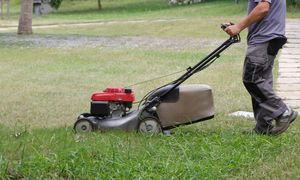 Pierwsze koszenie trawy po zimie. Lepiej nie popełniaj błędu
