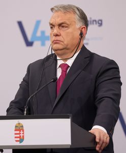 "Węgry zapłaciły za nóż, którym obcięto głowę Ukraińca". Apel doradcy Zełenskiego