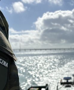 Pijany kapitan kontenerowca. Straż Graniczna przerwała rejs Rosjanina